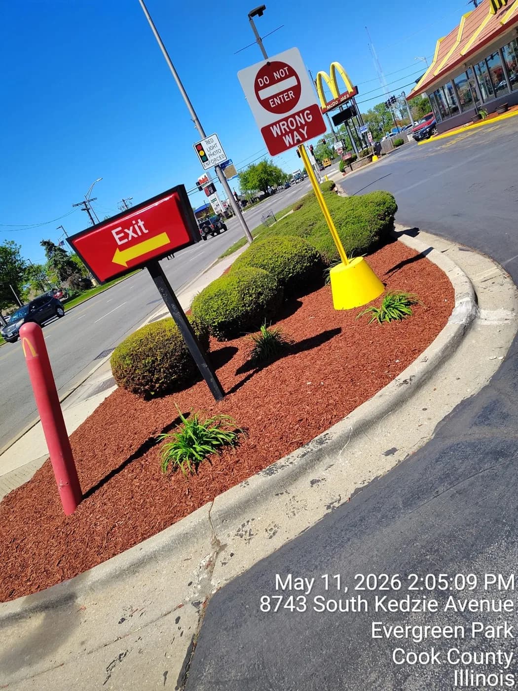 Trimmed shrubs and fresh red mulch on a commercial corner island