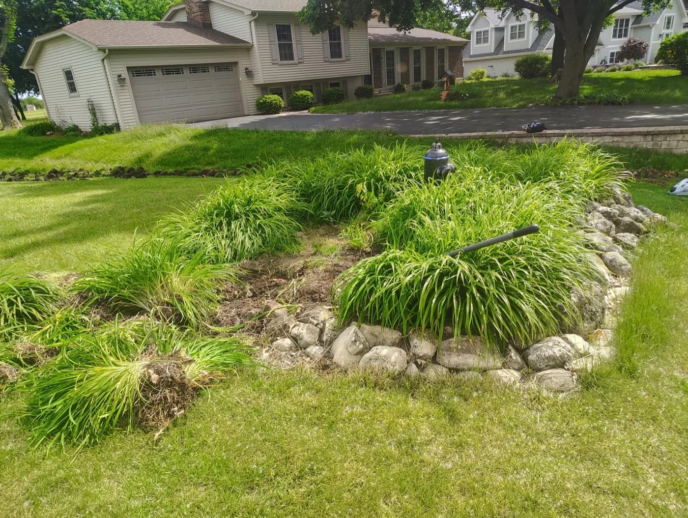 Overgrown daylilies lifted and thinned out of a river rock front bed