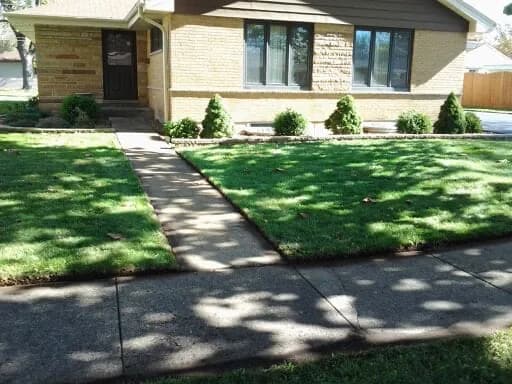 Trimmed front lawn and clean walkway edge