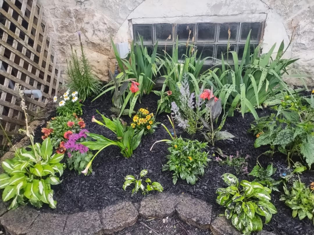 Yard maintained by Cortez Sunshine Landscaping in Chicago, IL