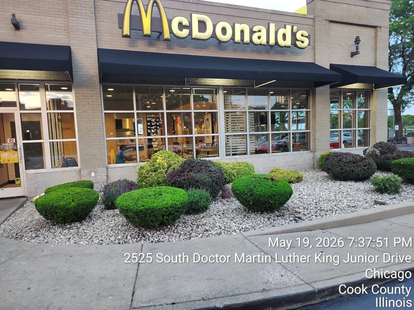 Restaurant storefront beds with tight shaped shrubs over decorative stone
