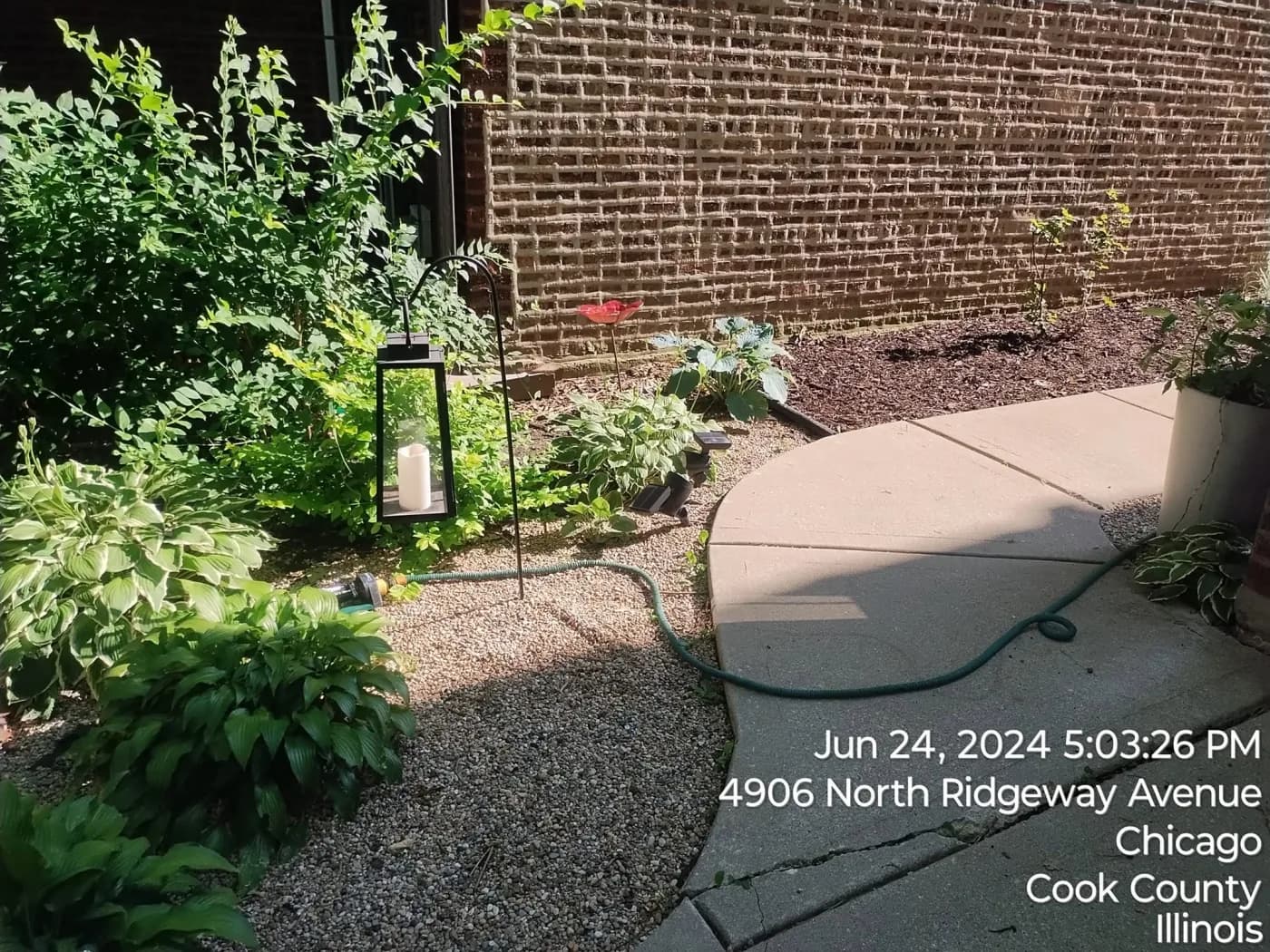 Shade planting kept even and healthy