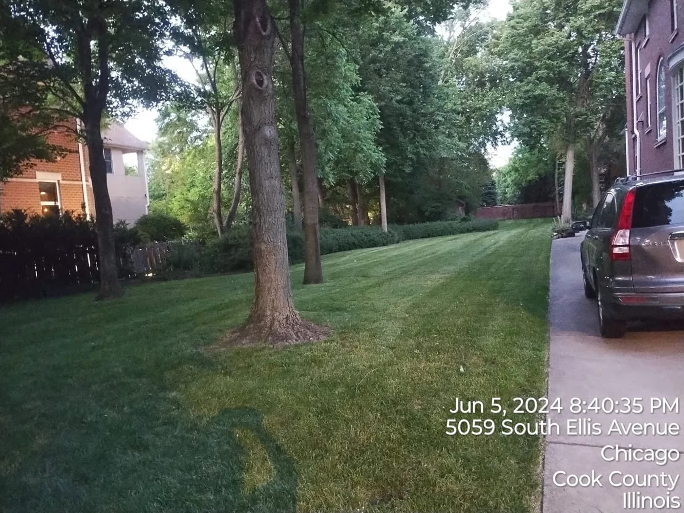 Shaded side lawn cut even along the drive