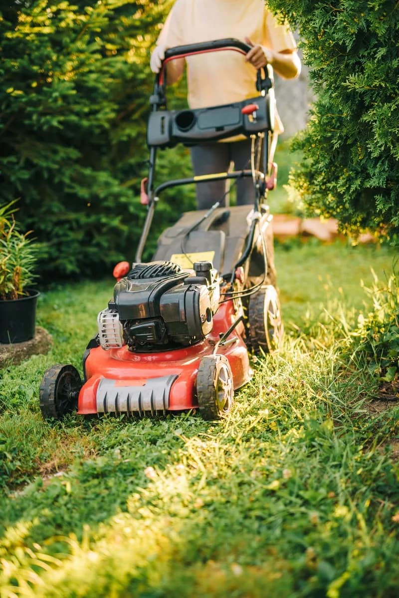 Lawn Care & Maintenance