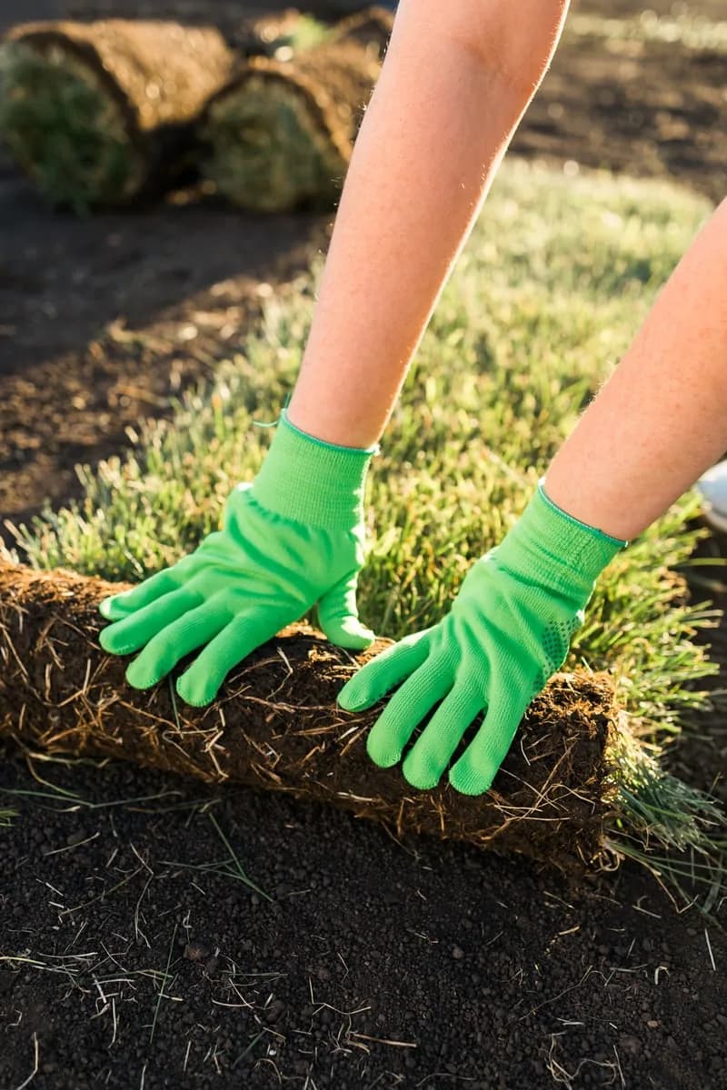 Sod & Seeding